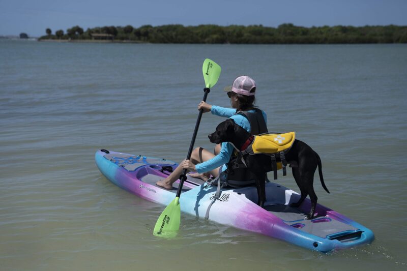 Perception Hi Life 11 | Sit on Top Kayak for Adults | Hybrid SUP Stand up Paddle Board Kayak | 11' - Image 12